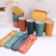 Paille de blé bols tasses soucoupes ensembles de plats plats plats maison tasses à boire bicolore couteaux portatifs fourchettes cuillères chopes resto ensembles de couverts cadeaux