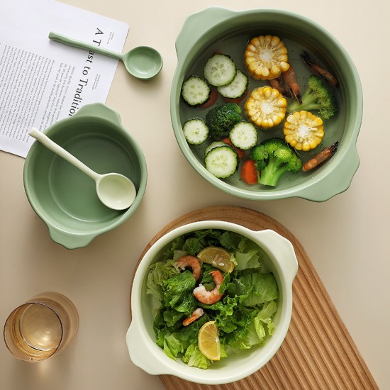 Bol en céramique binaural bol à soupe bol à salade pot à soupe domestique bol ramen bol aux nouilles bol créatif nordique ins haut niveau d’apparence