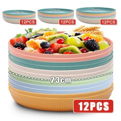 Ensemble de disque d’amazon assiettes à paille de blé assiettes à manger maison assiettes à manger occidentales pâtes steak salade assiettes à fruits