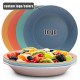 Disques de paille de blé dessert domestique salade de fruits assiette de chapeau de paille à grains verticaux assiette de pâtes assiette de steak
